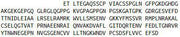 Recombinant Mannose Binding Lectin (MBL), RPU42678