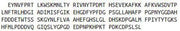 Recombinant Matrix Metalloproteinase 13 (MMP13), RPU42700