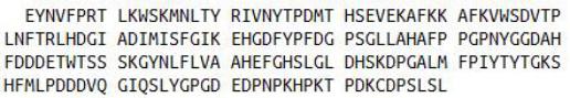Recombinant Matrix Metalloproteinase 13 (MMP13), RPU42700