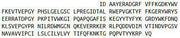 Recombinant Matrix Metalloproteinase 24 (MMP24), RPU42712