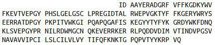 Recombinant Matrix Metalloproteinase 24 (MMP24), RPU42712