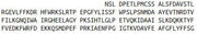 Recombinant Matrix Metalloproteinase 3 (MMP3), RPU42713