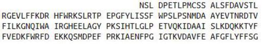 Recombinant Matrix Metalloproteinase 3 (MMP3), RPU42713