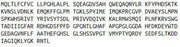 Recombinant Matrix Metalloproteinase 7 (MMP7), RPU42716
