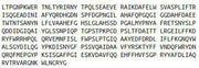 Recombinant Matrix Metalloproteinase 8 (MMP8), RPU42718