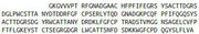 Recombinant Matrix Metalloproteinase 9 (MMP9), RPU42720