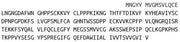 Recombinant Membrane Cofactor Protein (MCP), RPU42735