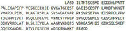 Recombinant Microtubule Associated Protein 2 (MAP2), RPU42754
