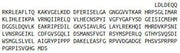 Recombinant Mitogen Activated Protein Kinase Kinase 2 (MAP2K2), RPU42774