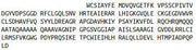 Recombinant Mothers Against Decapentaplegic Homolog 4 (Smad4), RPU42808