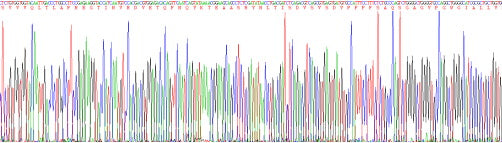 Recombinant Human Mucin 1 (MUC1)