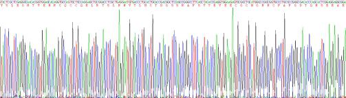 Recombinant Human Mucin 5 Subtype AC (MUC5AC)