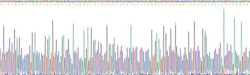 Recombinant Rat Mucin 5 Subtype AC (MUC5AC)