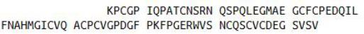 Recombinant Mucin 5 Subtype B (MUC5B), RPU42834
