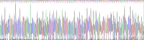 Recombinant Human Mucin 5 Subtype B (MUC5B)