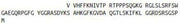 Recombinant Myelin Basic Protein (MBP), RPU42846