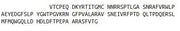 Recombinant Myeloperoxidase (MPO), RPU42857