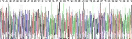 Recombinant Mouse Myostatin (MSTN)