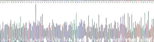 Recombinant Human Meningioma Expressed Antigen 5 (MGEA5)