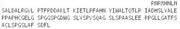 Recombinant Neurogenin 3 (NEUROG3), RPU43011