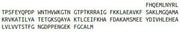 Recombinant Nitric Oxide Synthase 1, Neuronal (NOS1), RPU43058