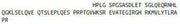 Recombinant N-Terminal Pro-Brain Natriuretic Peptide (NT-ProBNP), RPU43096