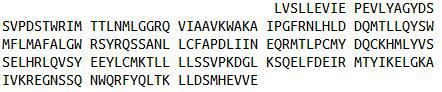 Recombinant Glucocorticoid Receptor (GR), RPU43103