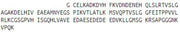 Recombinant Nucleophosmin 1 (NPM1), RPU43111