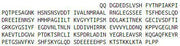 Recombinant Nucleoporin 98 (NUP98), RPU43125