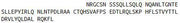 Recombinant Oncostatin M (OSM), RPU43141