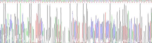 Recombinant Human Osteocalcin (OC)