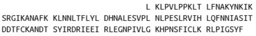 Recombinant Osteoglycin (OGN), RPU43156