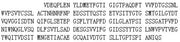 Recombinant Pepsinogen A (PGA), RPU43198
