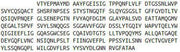 Recombinant Pepsinogen C (PGC), RPU43200