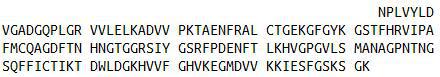Recombinant Peptidylprolyl Isomerase F (PPIF), RPU43215