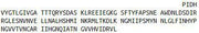 Recombinant Periostin (POSTN), RPU43218