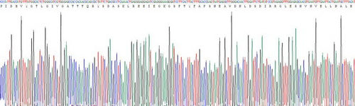 Recombinant Human Periostin (POSTN)