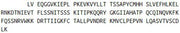 Recombinant Phospholipase A1 (PLA1), RPU43278