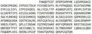 Recombinant Phospholipase A2 Group VII (LpPLA2), RPU43292
