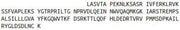 Recombinant Pigment Epithelium Derived Factor (PEDF), RPU43296