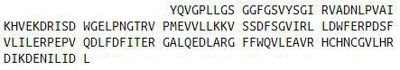 Recombinant Pim-1 Oncogene (PIM1), RPU43300