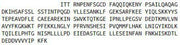 Recombinant Plasminogen Activator Inhibitor 2 (PAI2), RPU43314