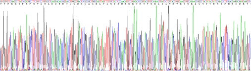 Recombinant Mouse Platelet Derived Growth Factor Receptor Beta (PDGFRb)