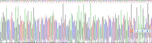 Recombinant Human Platelet Derived Growth Factor Subunit B (PDGFB)