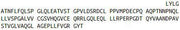 Recombinant Plexin B1 (PLXNB1), RPU43361