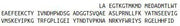 Recombinant PR Domain Containing Protein 1 (PRDM1), RPU43395