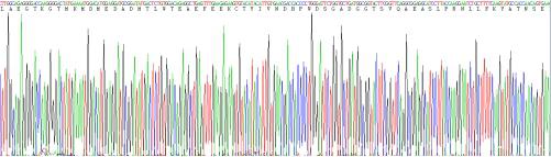 Recombinant Human PR Domain Containing Protein 1 (PRDM1)