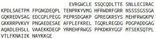 Recombinant Proopiomelanocortin (POMC), RPU43441