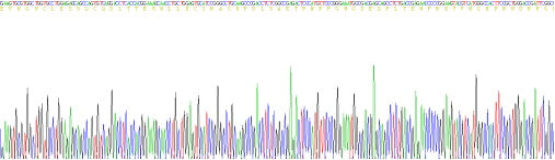 Recombinant Human Proopiomelanocortin (POMC)
