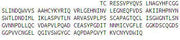 Recombinant Protease, Serine 2 (PRSS2), RPU43453